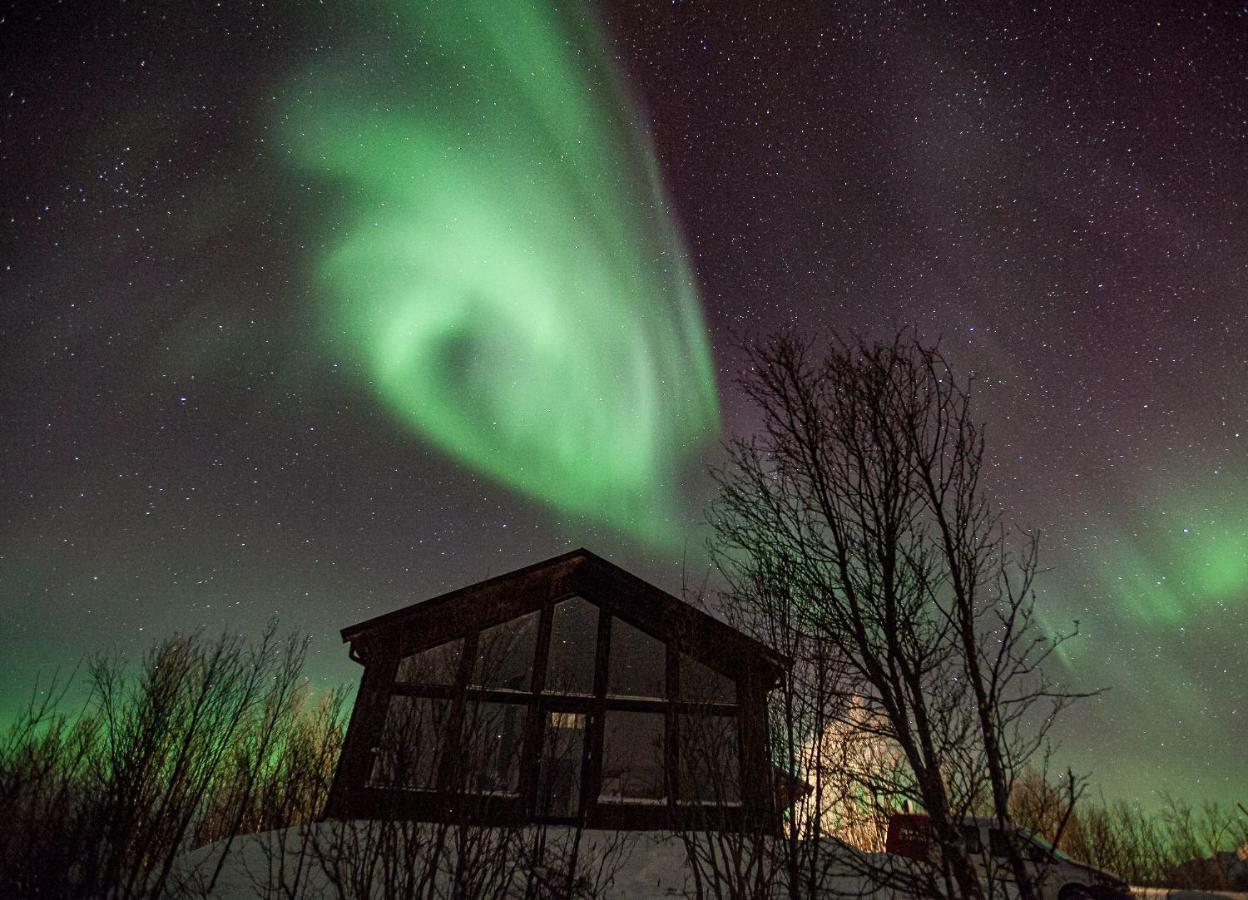 Aurora View Cabin Lyngseidet Exterior photo